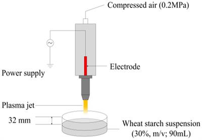 Effect of atmospheric pressure plasma jet on the structure and physicochemical properties of wheat starch